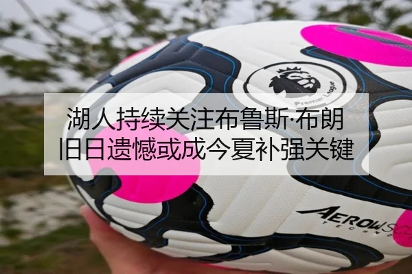 湖人持续关注布鲁斯·布朗 旧日遗憾或成今夏补强关键